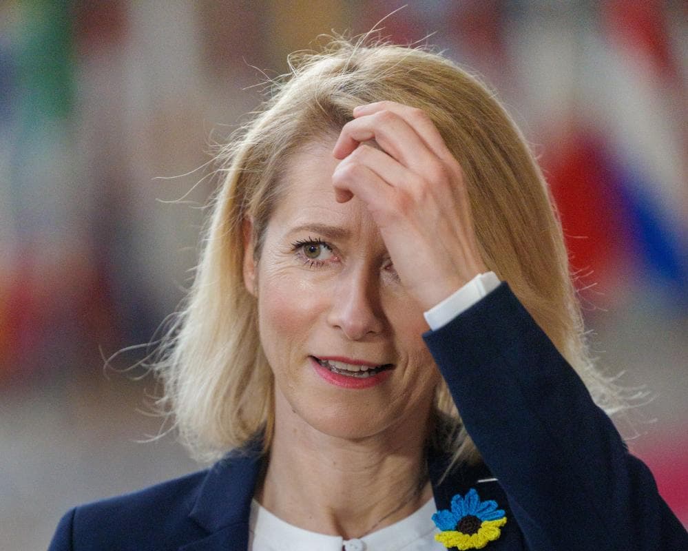 The image of the article.