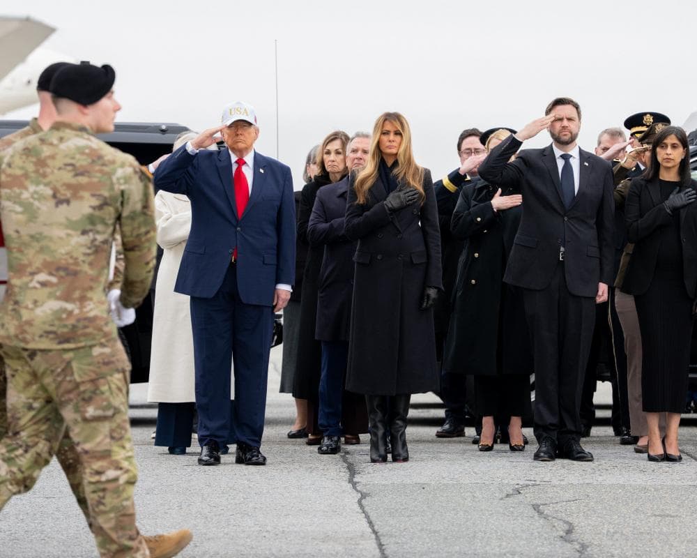 The image of the article.