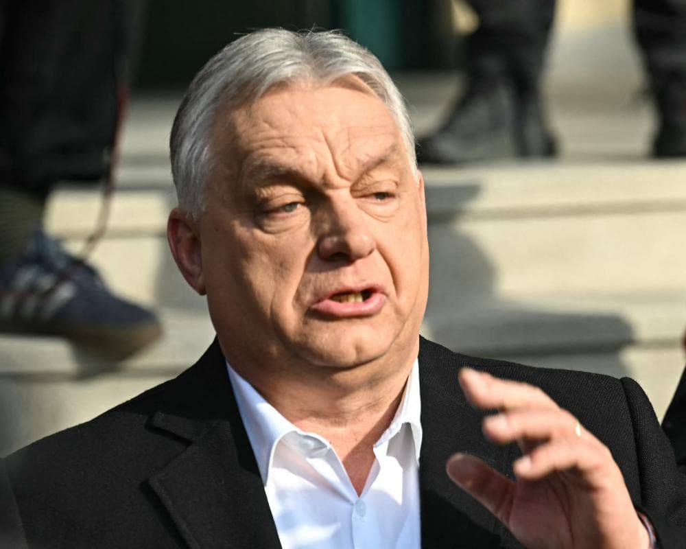 The image of the article.