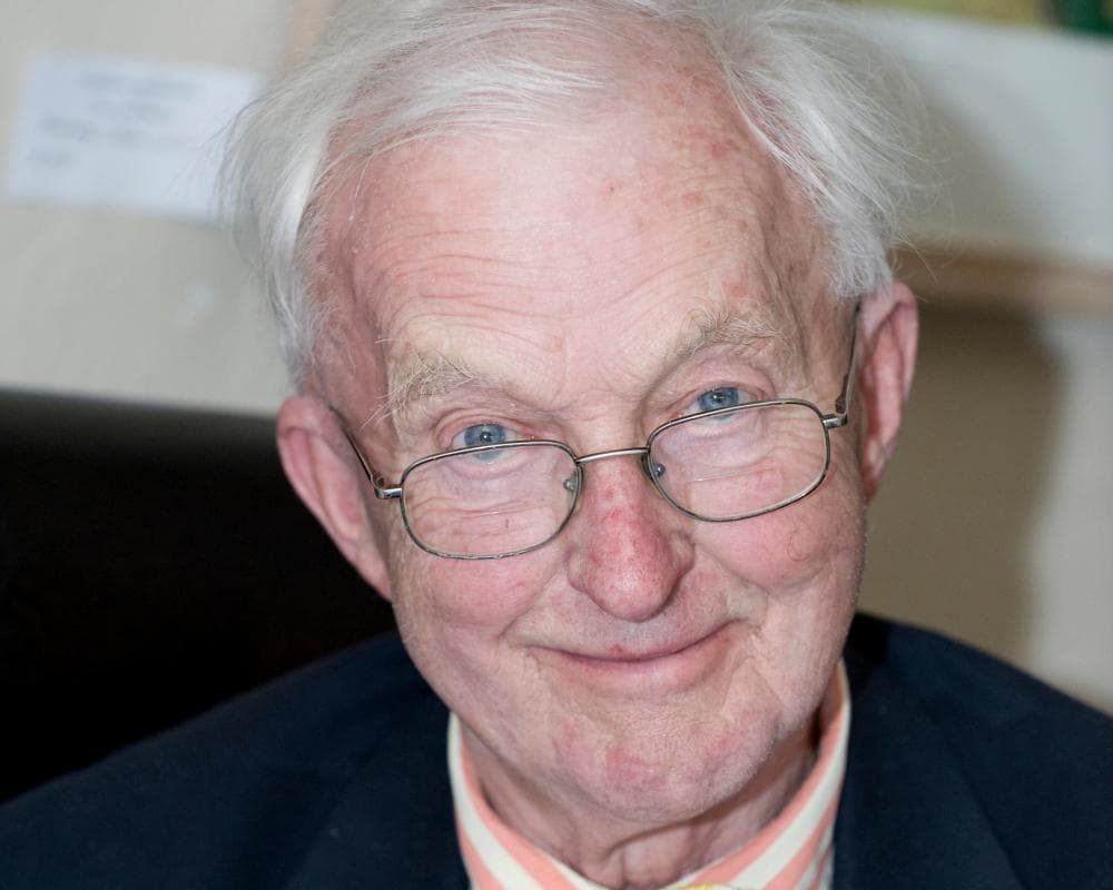 The image of the article.