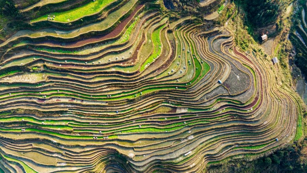 The image of the article.