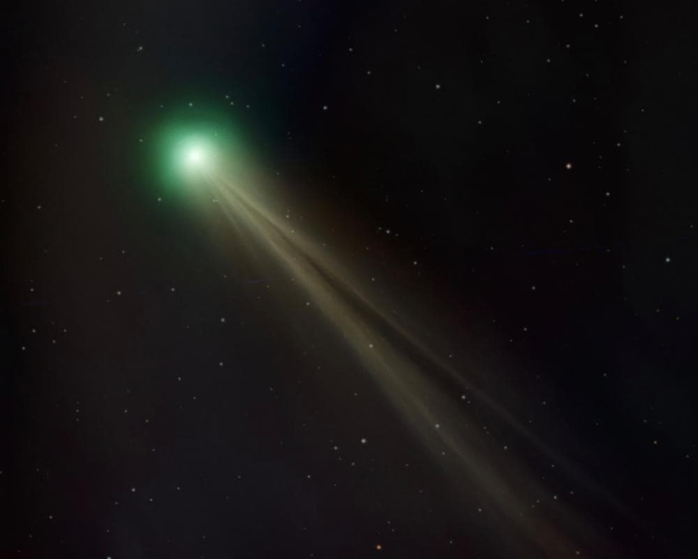 picture of article