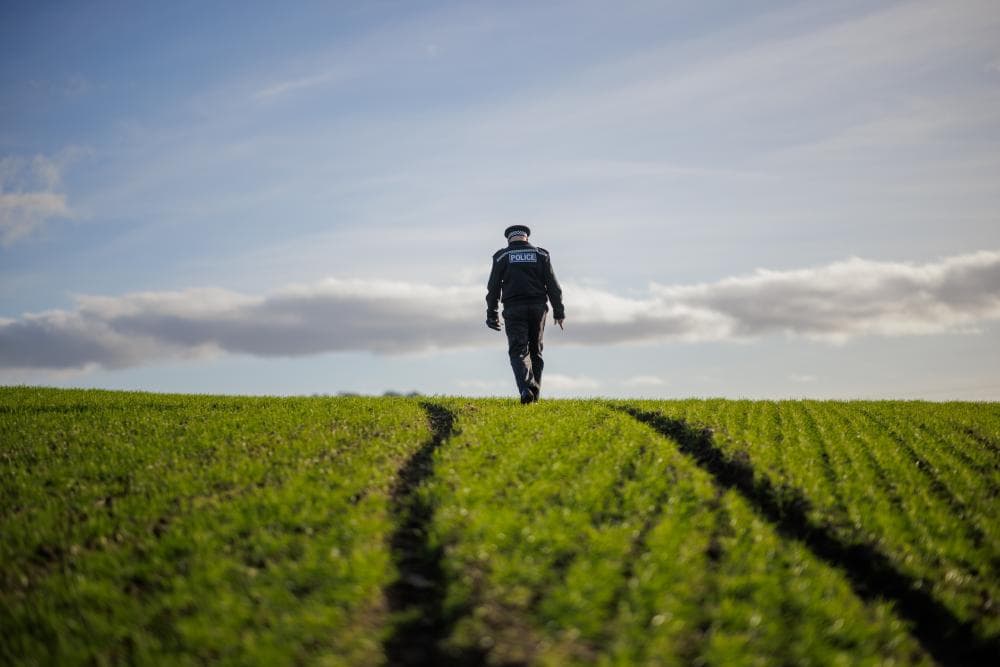 The image of the article.