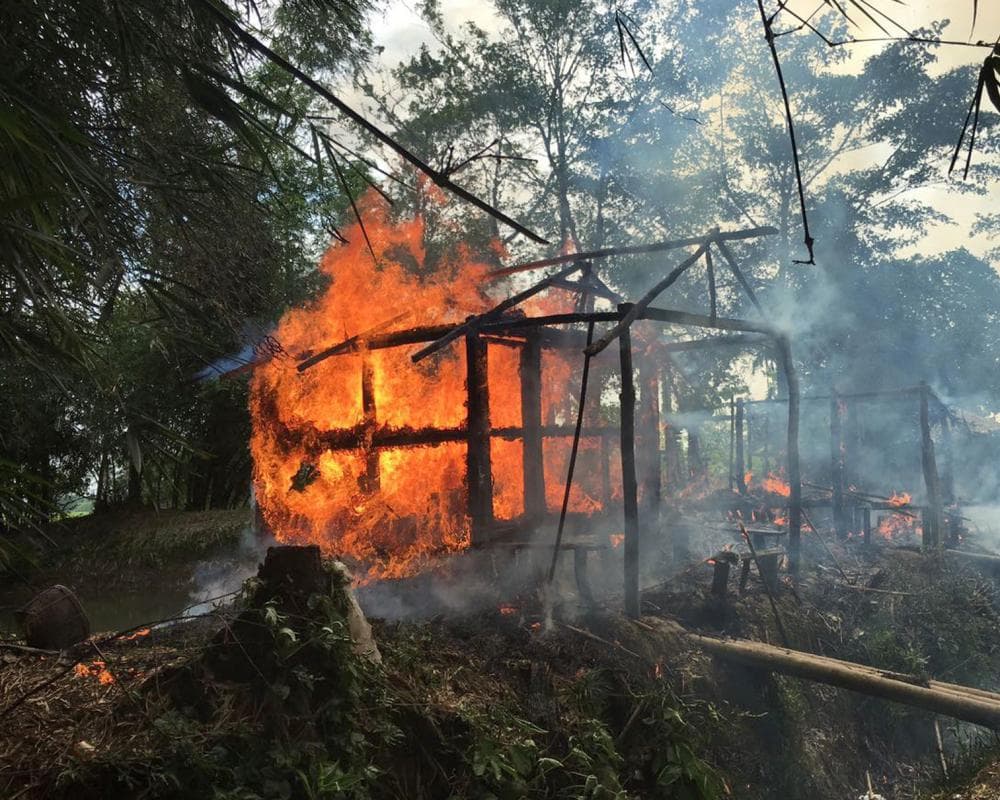 The image of the article.