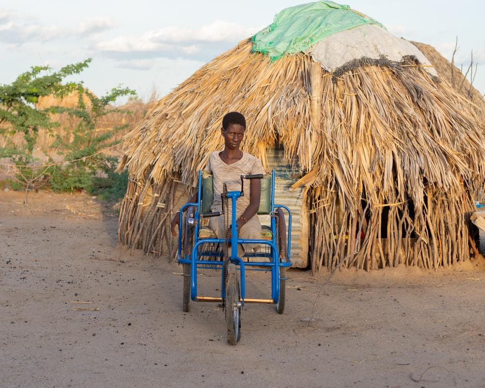 The image of the article.