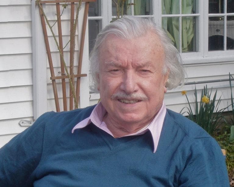 The image of the article.