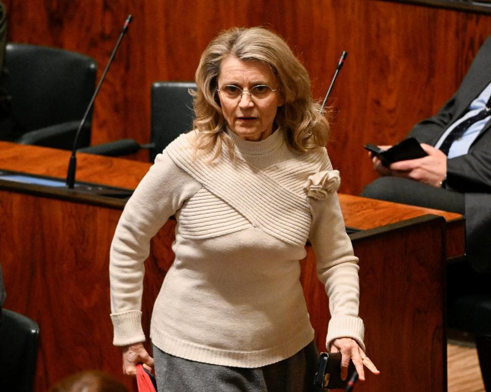 The image of the article.