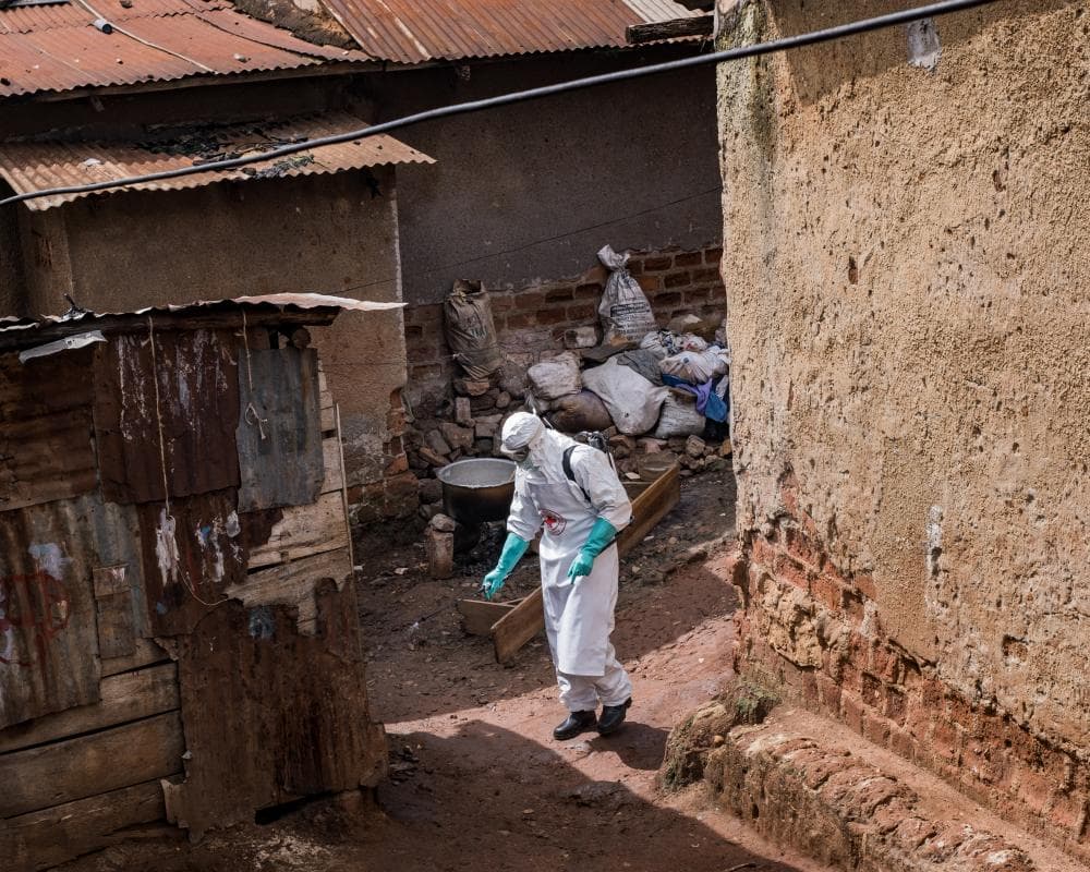 picture of article