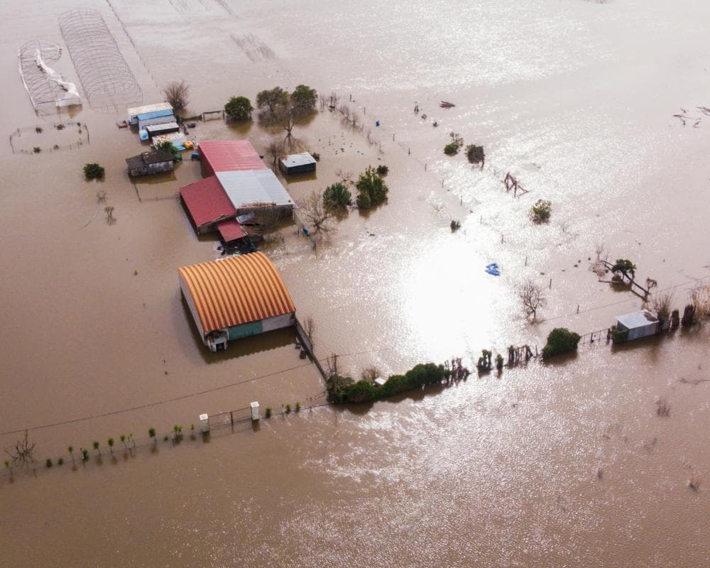 The image of the article.