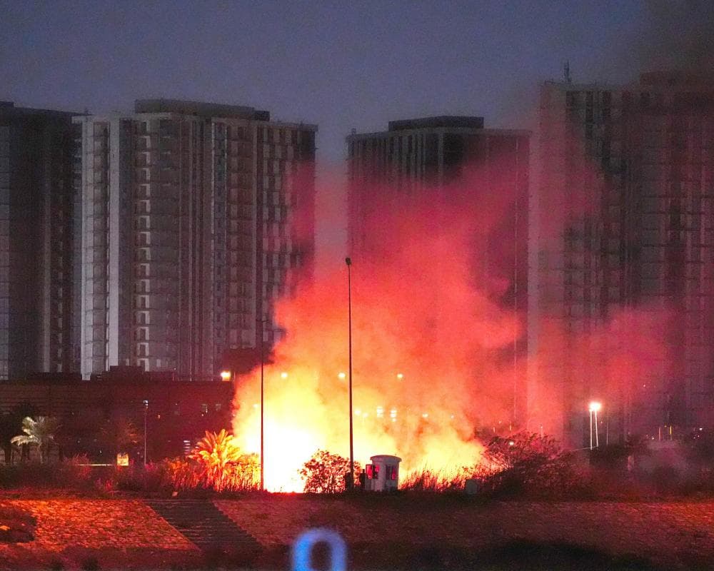 The image of the article.