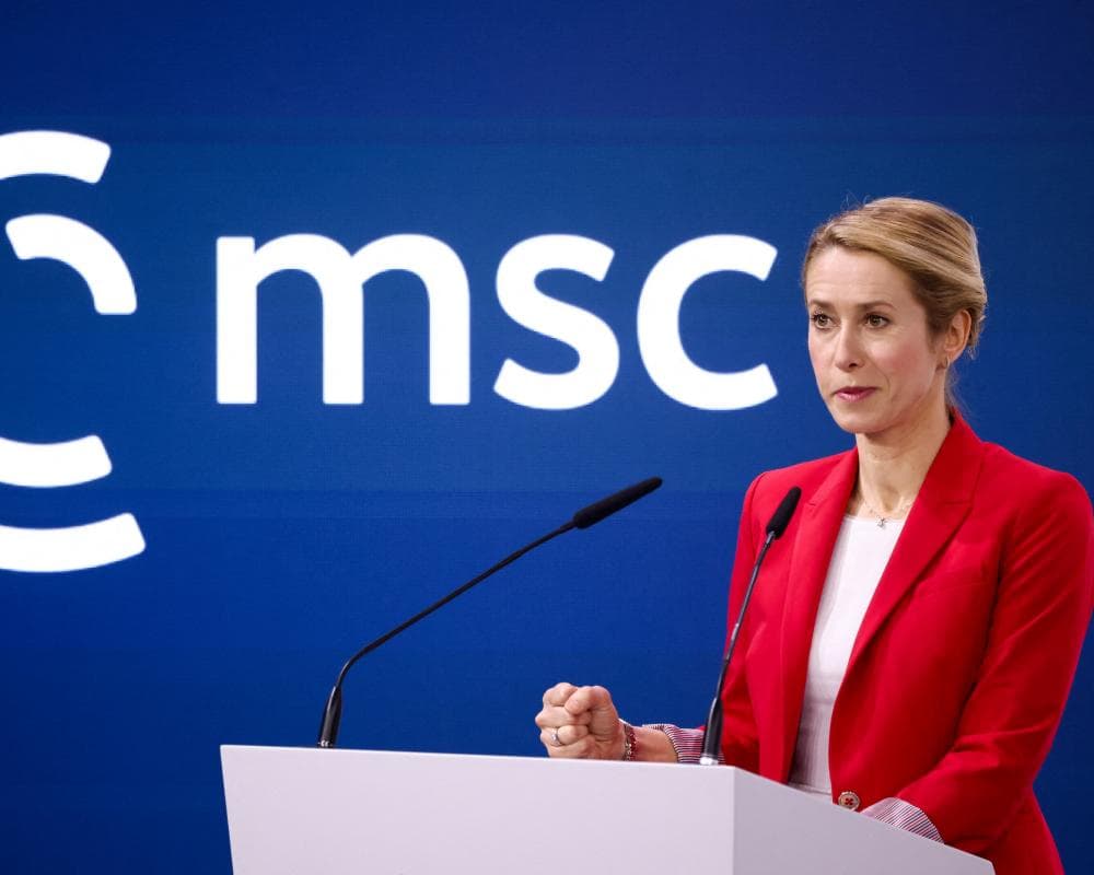 The image of the article.