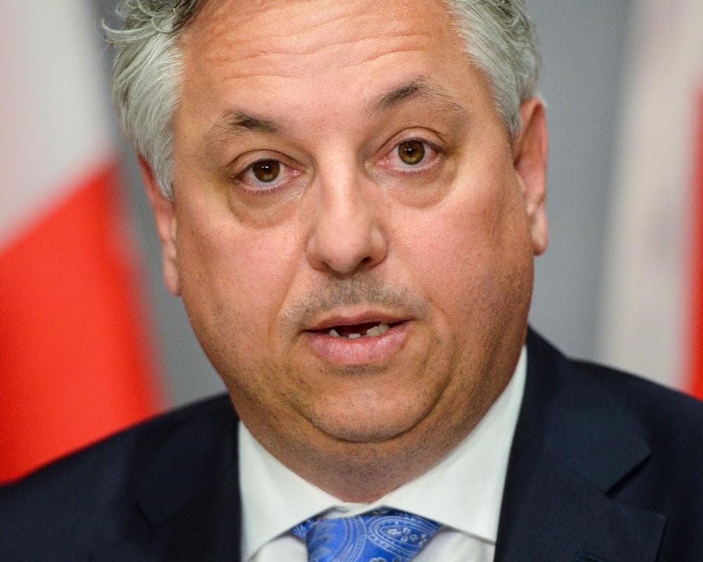 The image of the article.