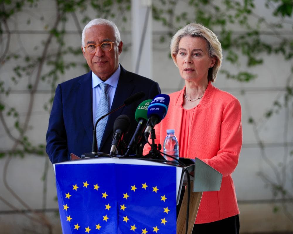 The image of the article.