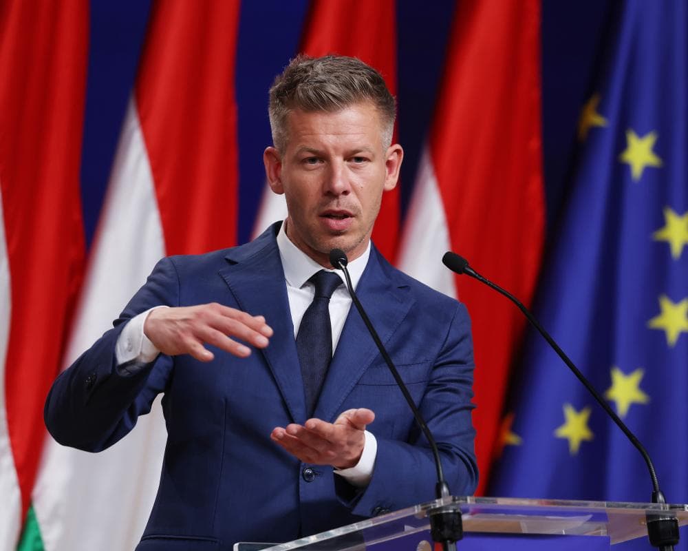 The image of the article.