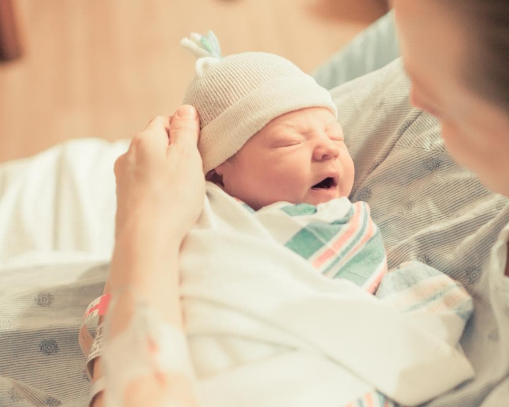 The image of the article.