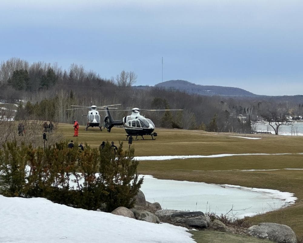 The image of the article.