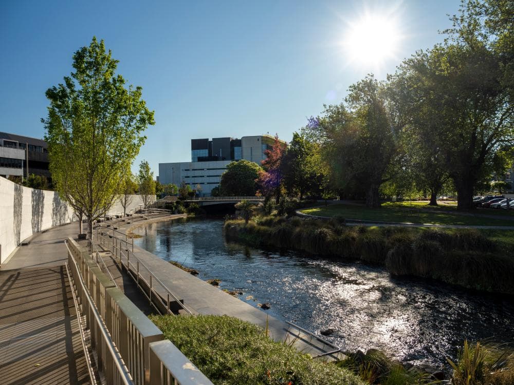 The image of the article.