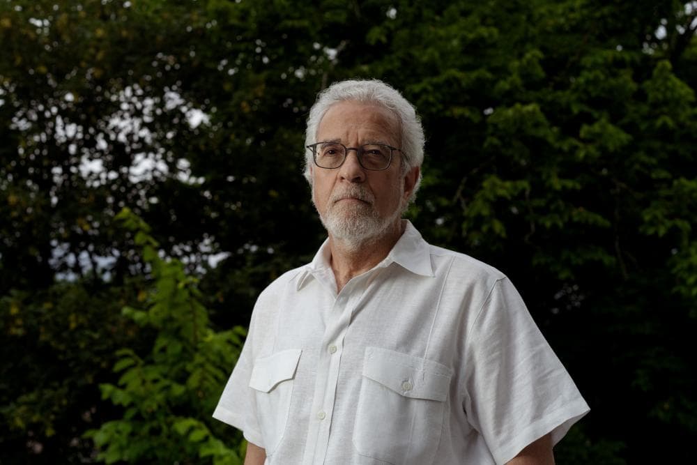 The image of the article.