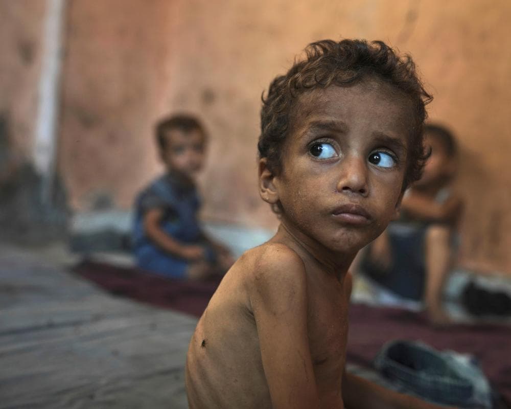 The image of the article.