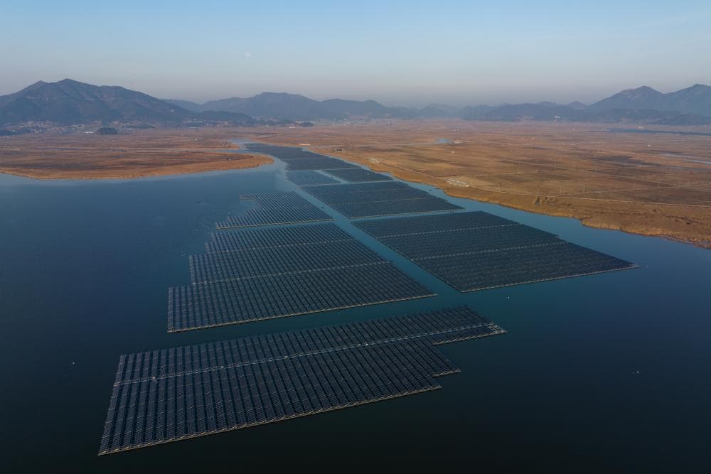 The image of the article.