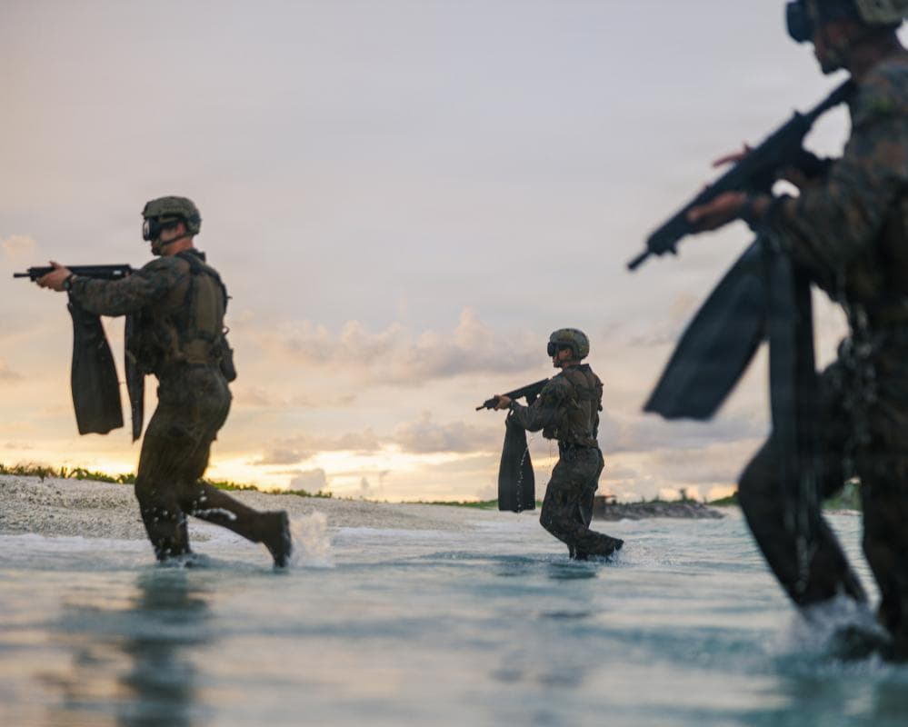 The image of the article.