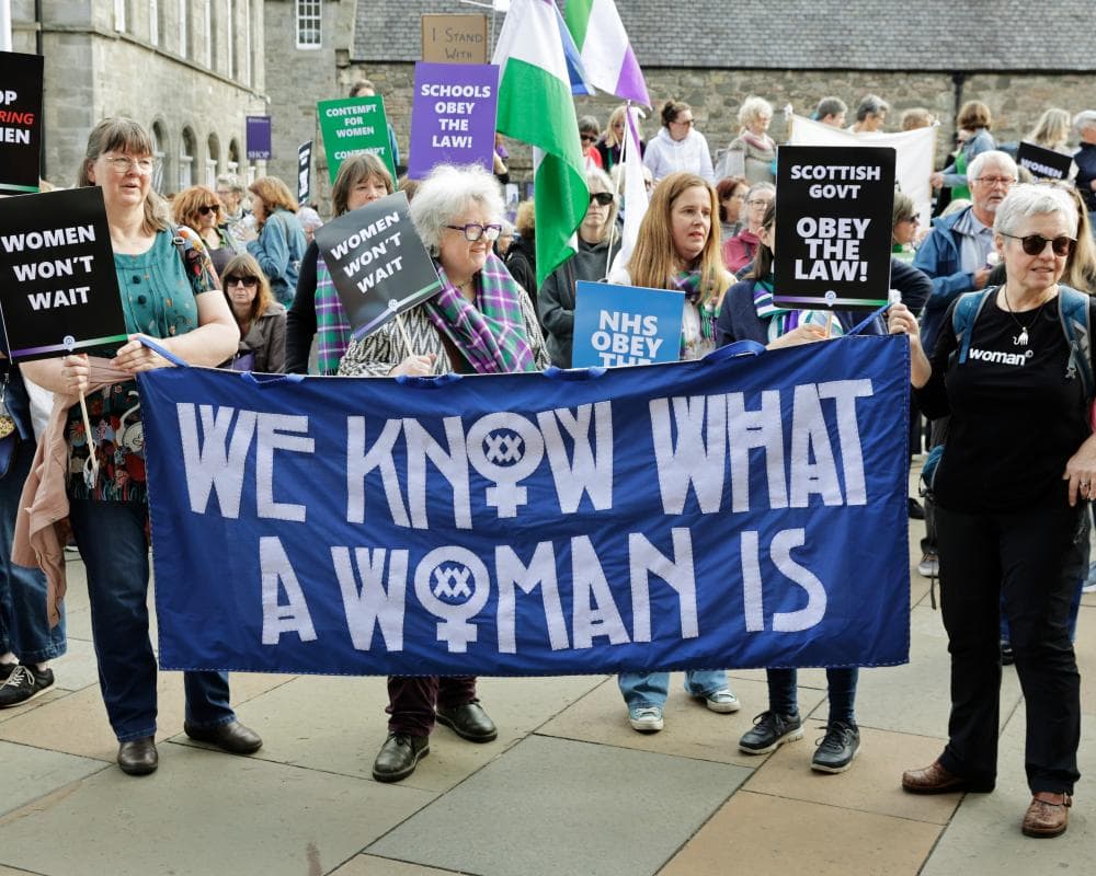 The image of the article.