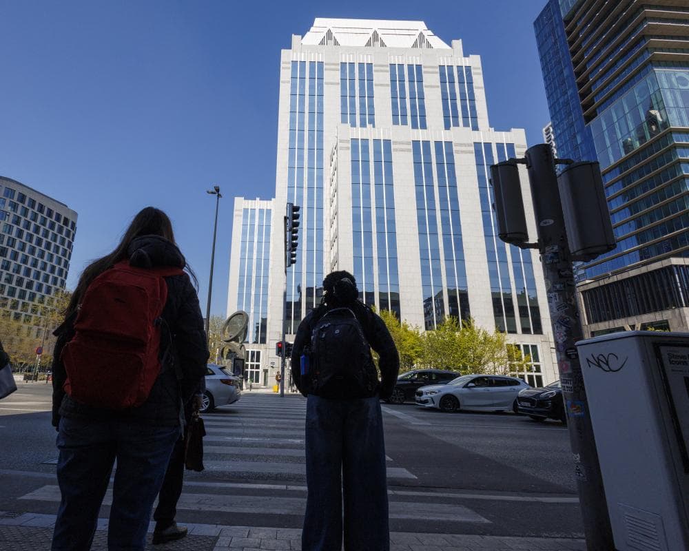 The image of the article.