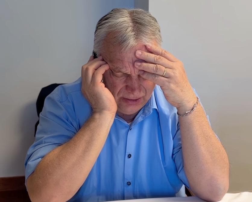 The image of the article.