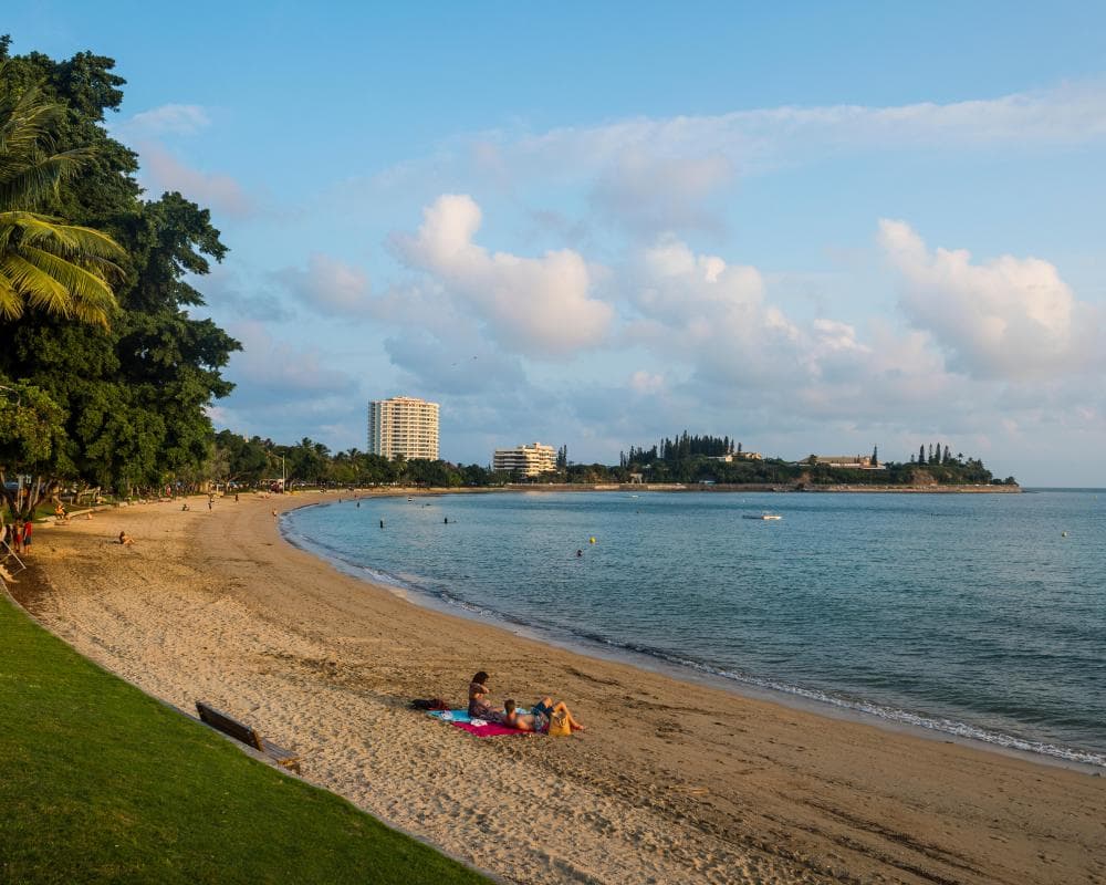 The image of the article.