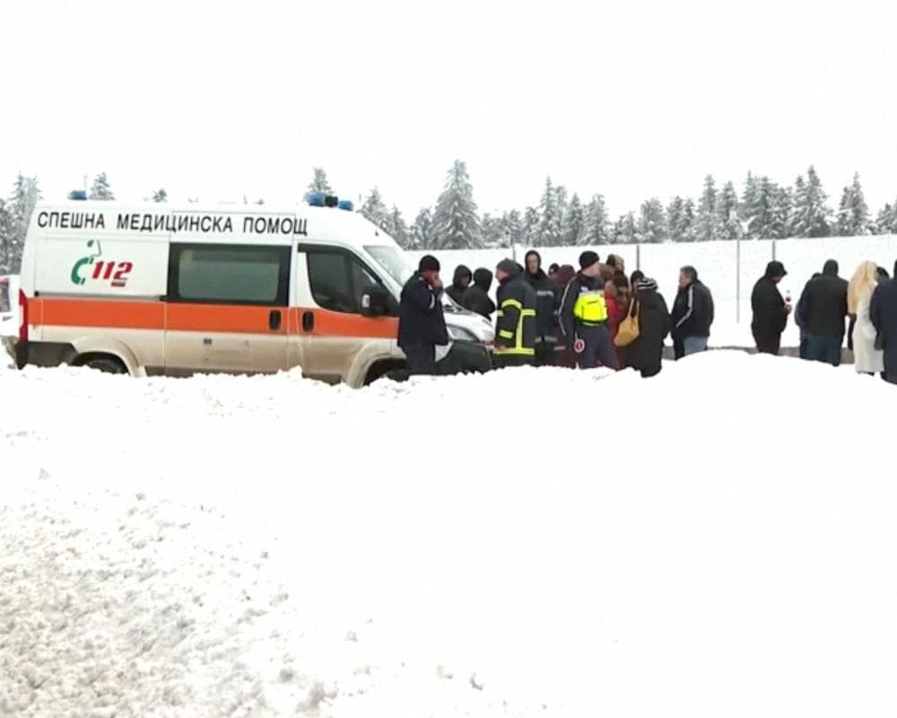 The image of the article.