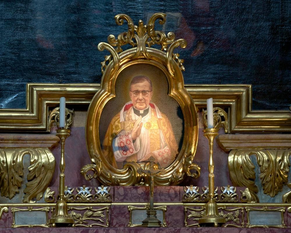 The image of the article.