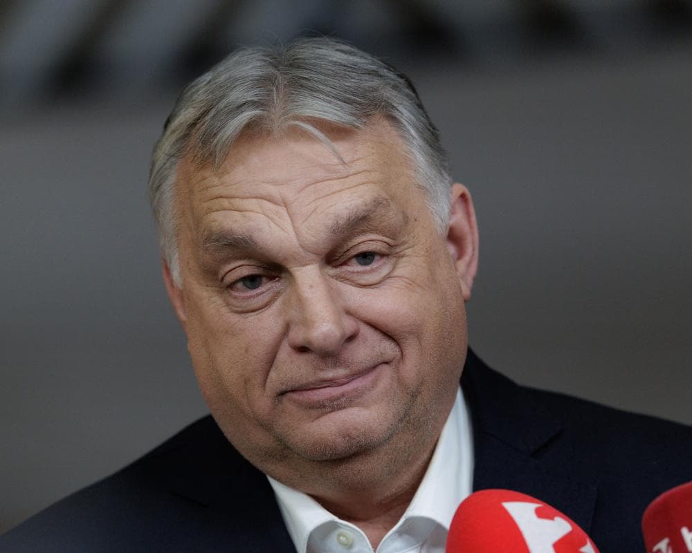 The image of the article.