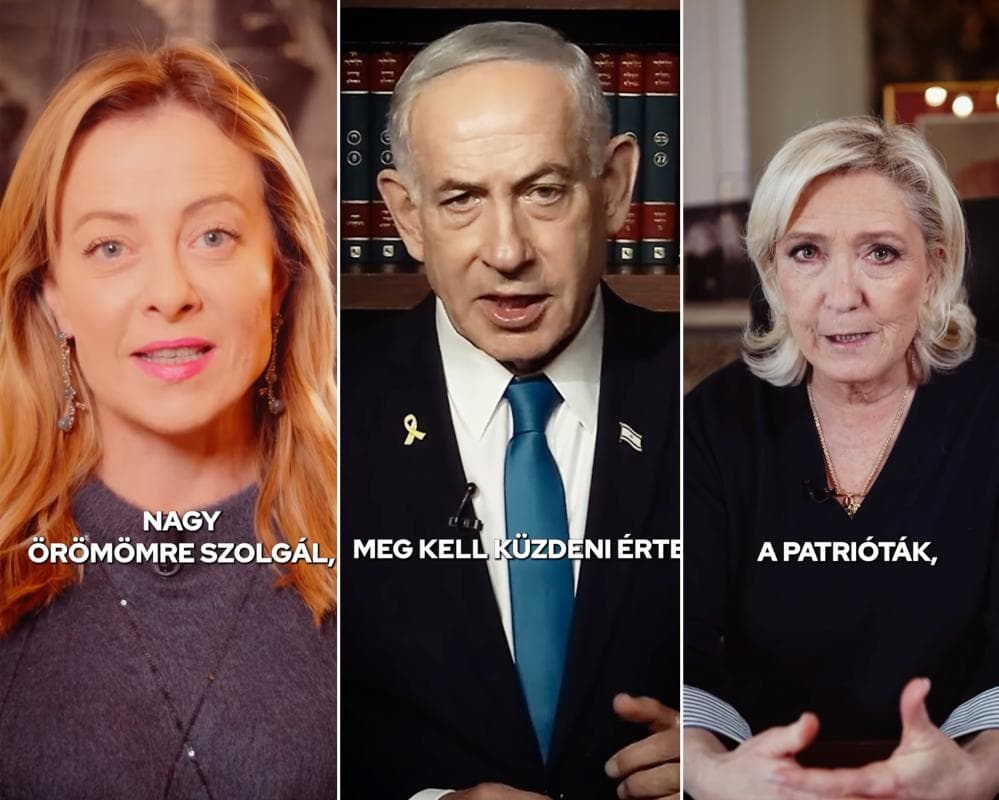 The image of the article.