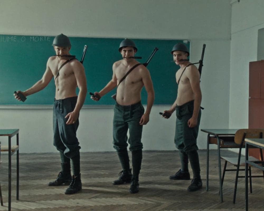 The image of the article.