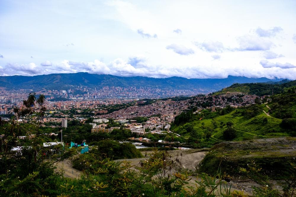 The image of the article.