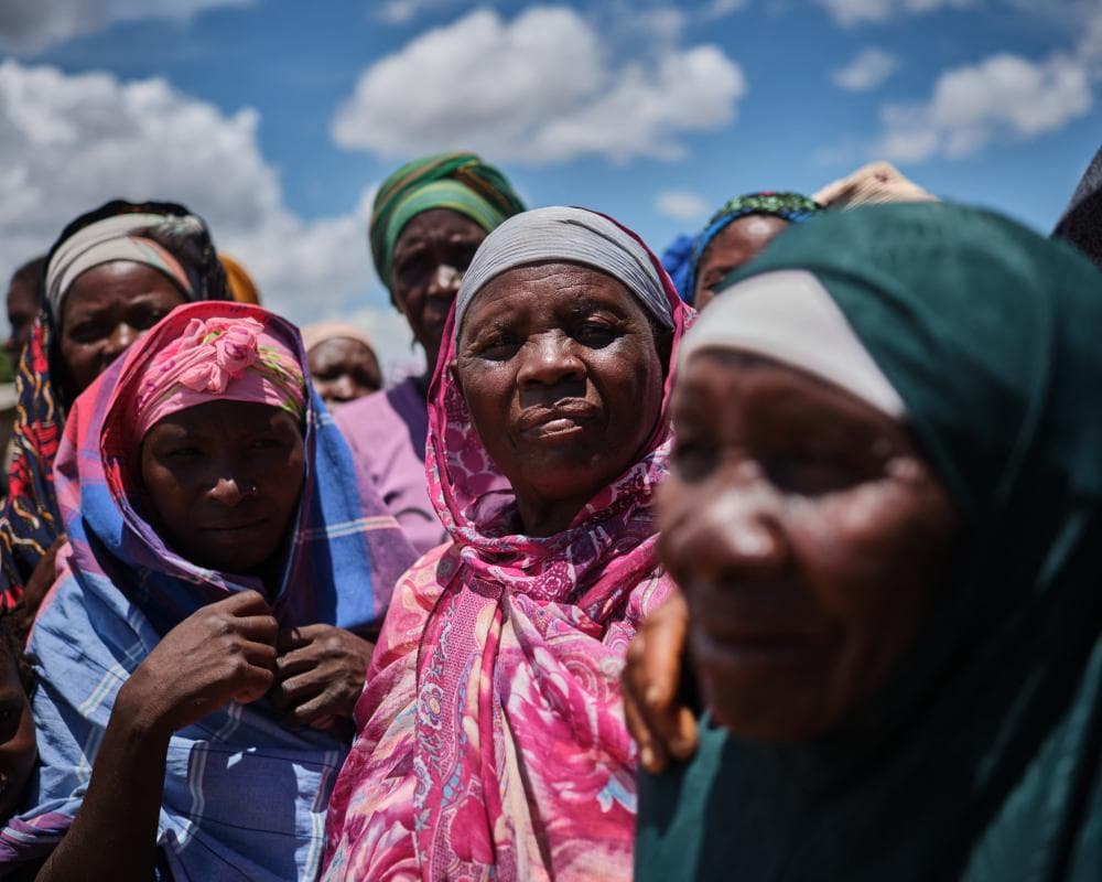 The image of the article.