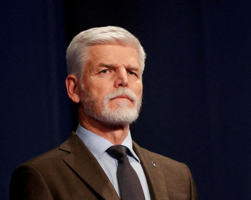 The image of the article.