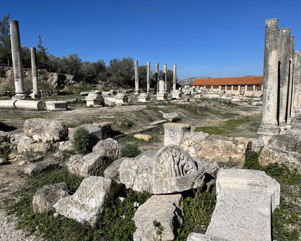 The image of the article.