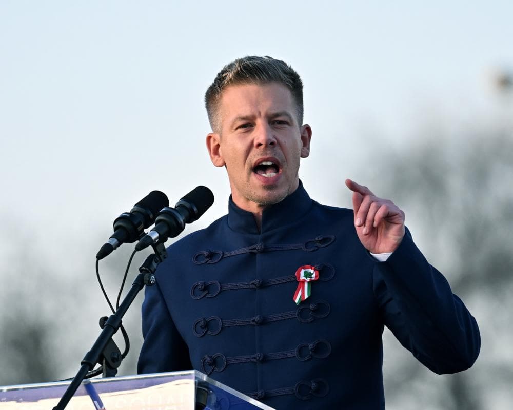 The image of the article.