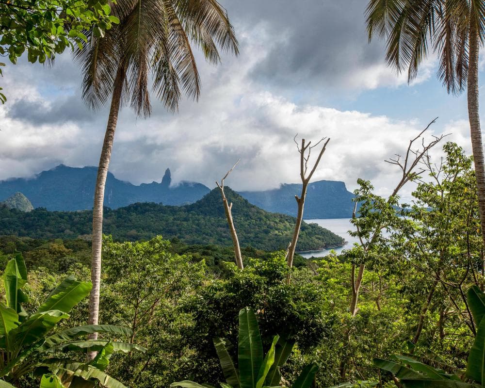 The image of the article.