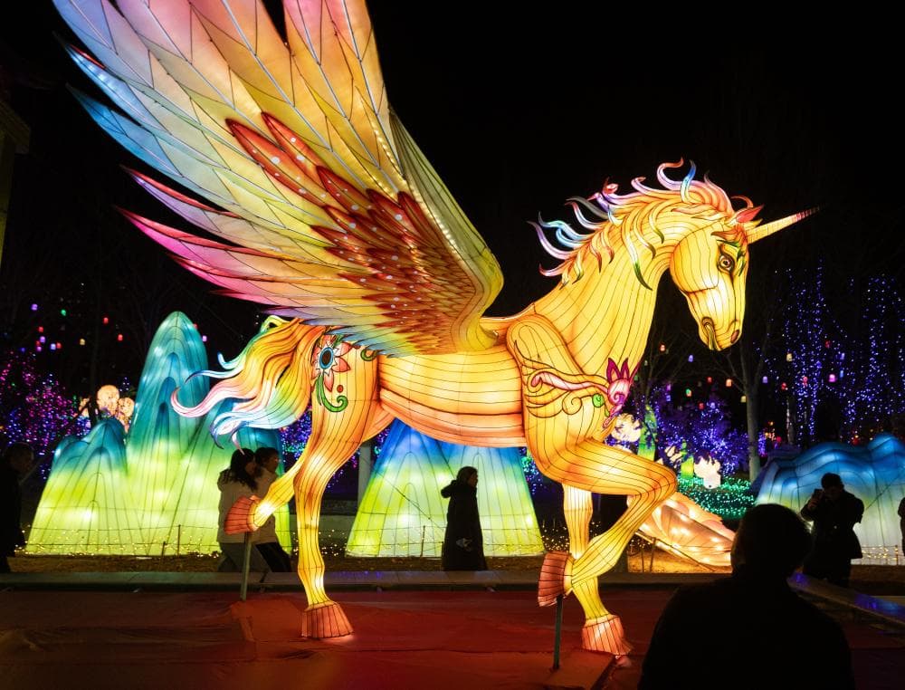 The image of the article.