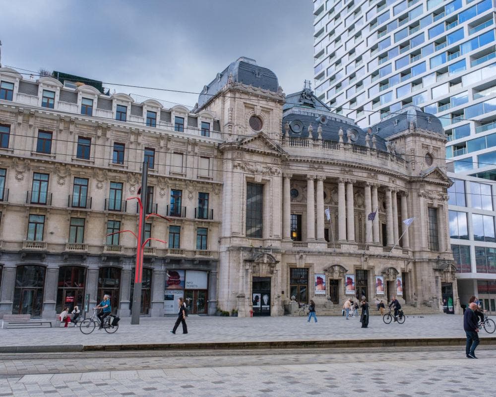 The image of the article.