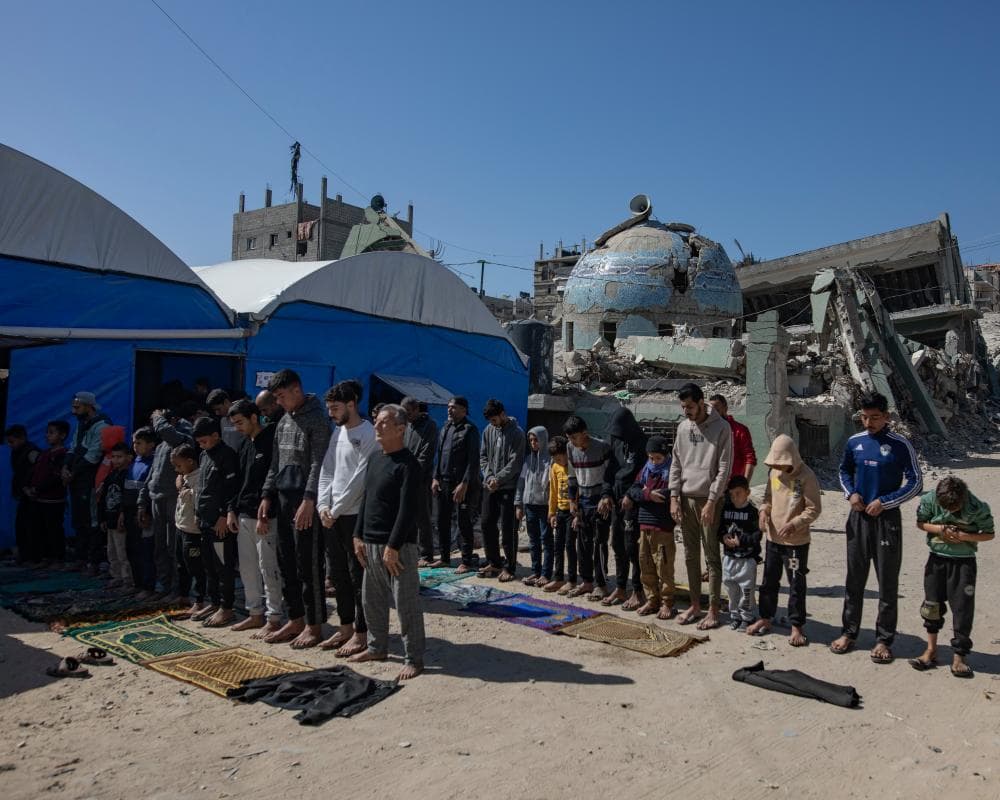 The image of the article.