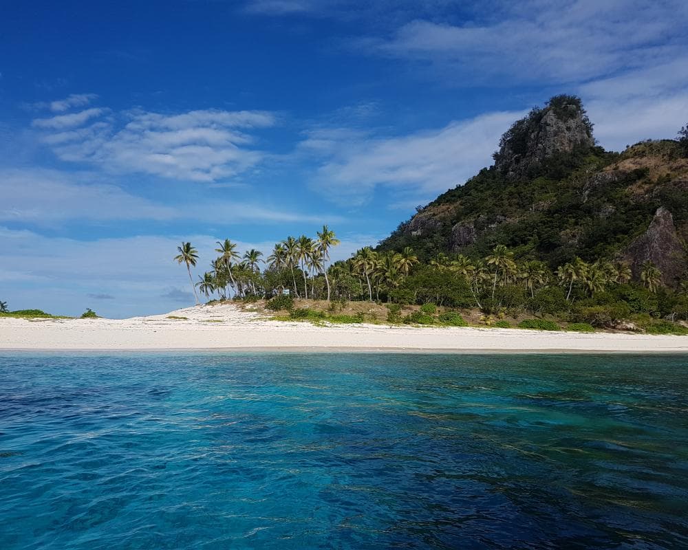 The image of the article.