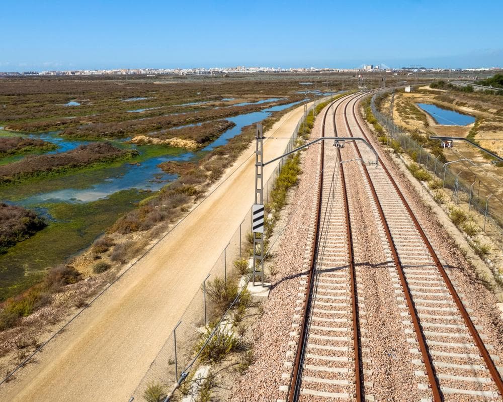 The image of the article.