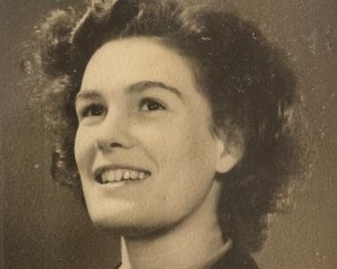 The image of the article.