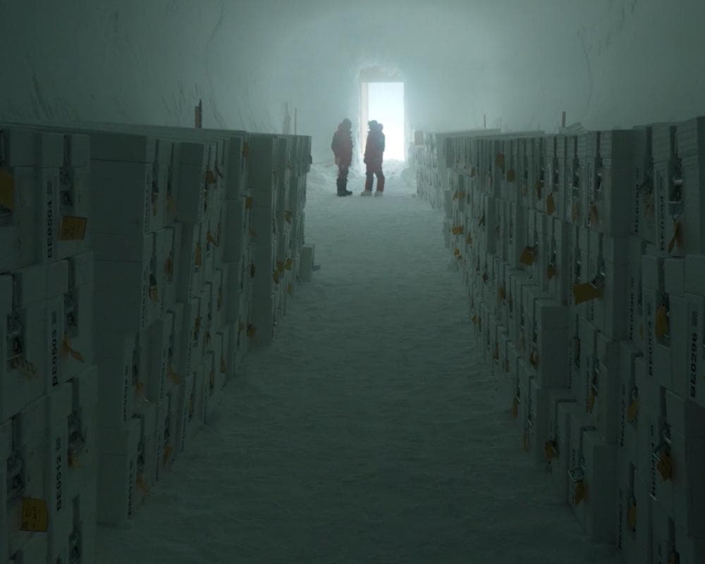 The image of the article.