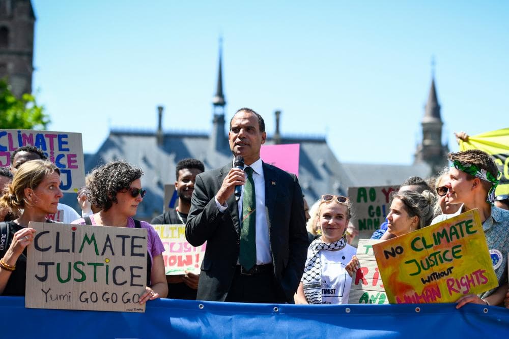 The image of the article.