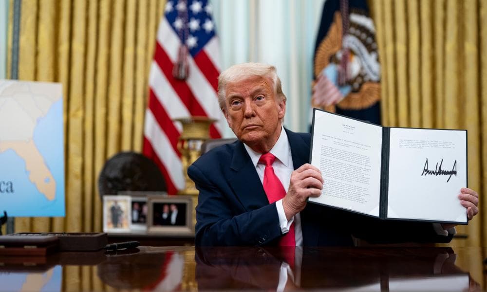 The image of the article.