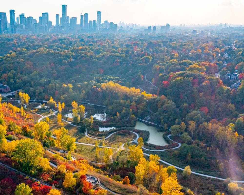 The image of the article.